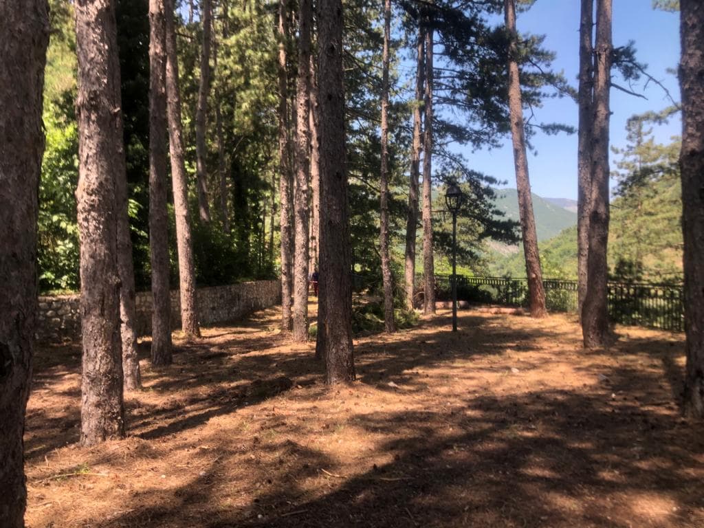 Adeguamento e miglioramento sismico edificio ex Comunità Montana