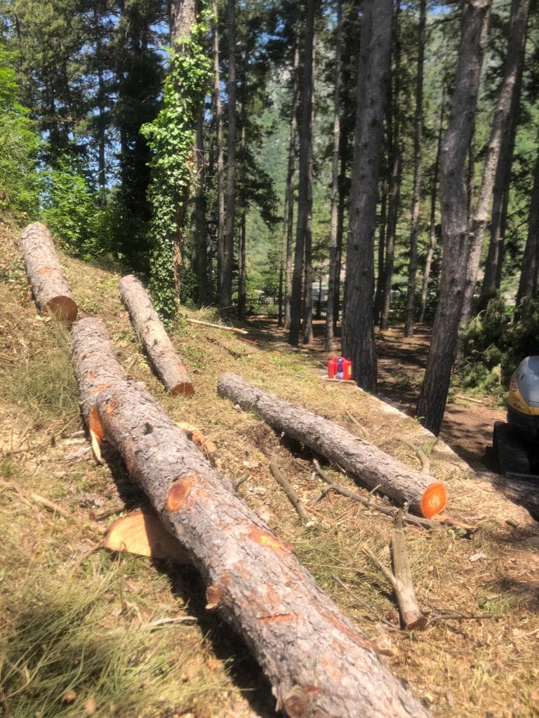 Adeguamento e miglioramento sismico edificio ex Comunità Montana