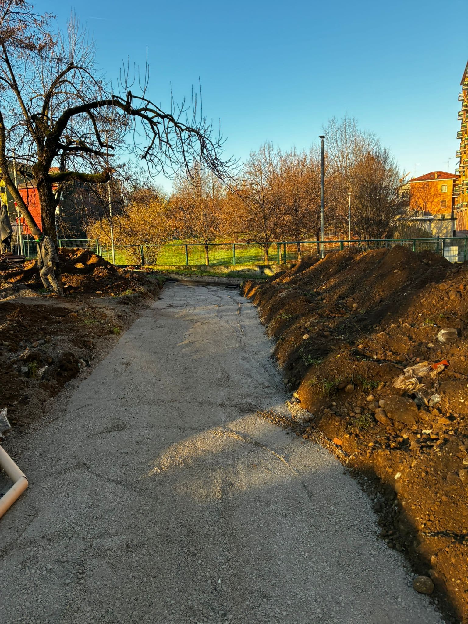 Parco urbano Via Solone/Boezio e interventi di riforestazione urbana