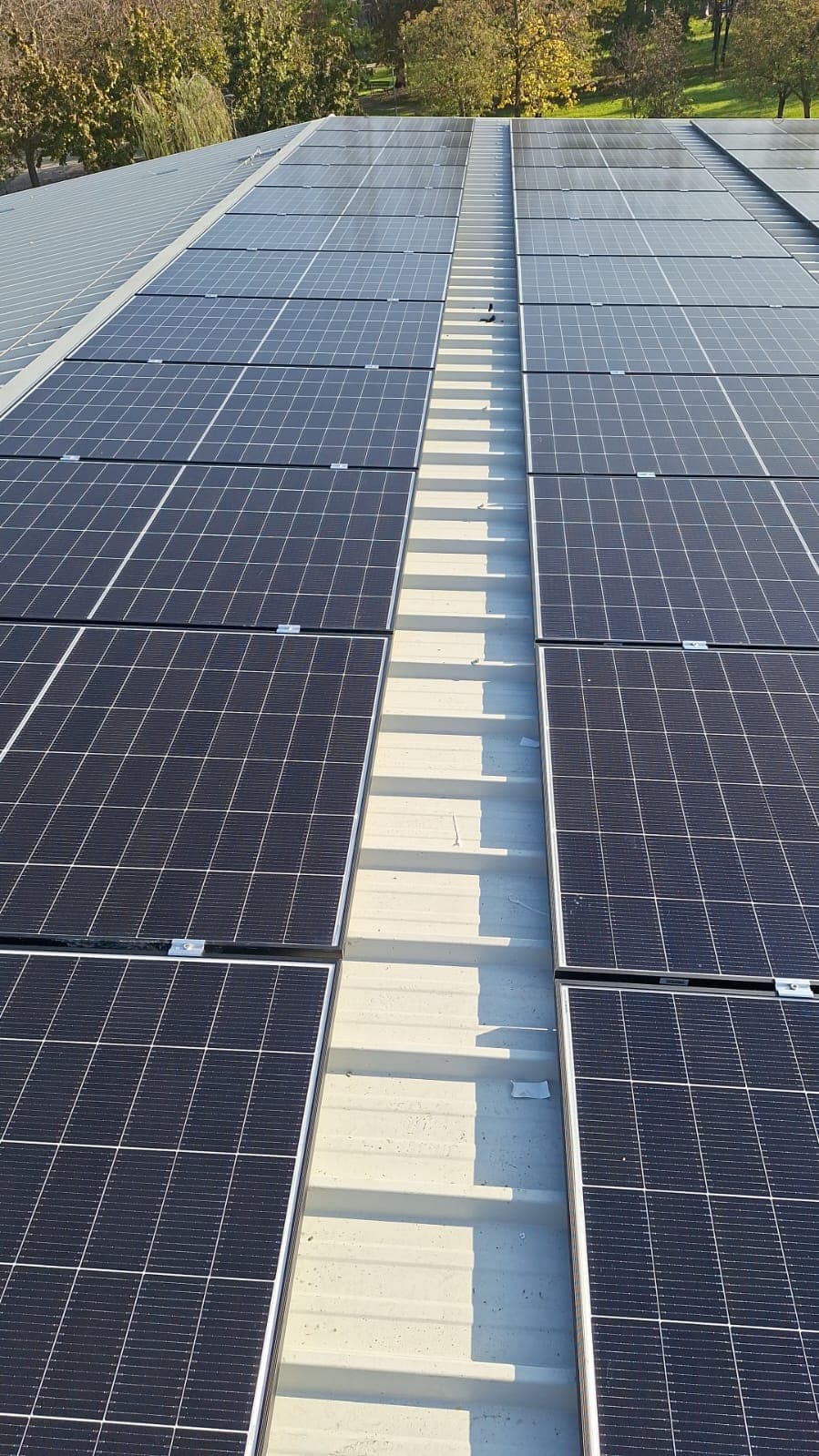 Realizzazione mensa scuola Collodi